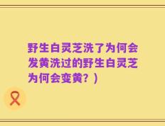 野生白灵芝洗了为何会发黄洗过的野生白灵芝为何会变黄？)