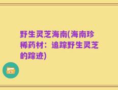 野生灵芝海南(海南珍稀药材：追踪野生灵芝的踪迹)