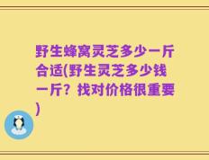 野生蜂窝灵芝多少一斤合适(野生灵芝多少钱一斤？找对价格很重要)