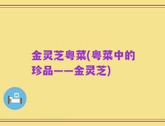 金灵芝粤菜(粤菜中的珍品——金灵芝)