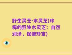野生灵芝-木灵芝(珍稀的野生木灵芝：自然润泽，保健珍宝)