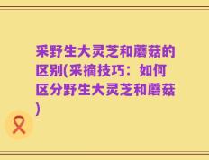 采野生大灵芝和蘑菇的区别(采摘技巧：如何区分野生大灵芝和蘑菇)