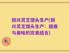 铜川灵芝馒头生产(铜川灵芝馒头生产：健康与美味的完美结合)