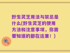 野生灵芝用法与禁忌是什么(野生灵芝的使用方法和注意事项，你需要知道的都在这里！)