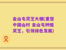 金山屯灵芝大棚(重塑中国山村 金山屯种植灵芝，引领绿色发展)