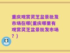 重庆观赏灵芝盆景批发市场在哪(重庆哪里有观赏灵芝盆景批发市场？)