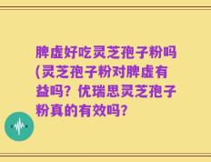 脾虚好吃灵芝孢子粉吗(灵芝孢子粉对脾虚有益吗？优瑞思灵芝孢子粉真的有效吗？
