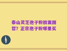 泰山灵芝孢子粉胶囊图哲？正宗孢子粉哪里买
