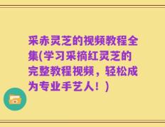 采赤灵芝的视频教程全集(学习采摘红灵芝的完整教程视频，轻松成为专业手艺人！)