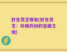 野生灵芝哪有(野生灵芝：珍稀药材的宝藏之地)