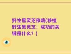 野生黑灵芝移栽(移植野生黑灵芝：成功的关键是什么？)