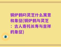 铜炉鹤叼灵芝什么寓意和象征(铜炉鹤与灵芝：古人寄托长寿与吉祥的象征)