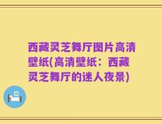 西藏灵芝舞厅图片高清壁纸(高清壁纸：西藏灵芝舞厅的迷人夜景)
