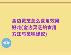 金边灵芝怎么食用效果好吃(金边灵芝的食用方法与美味建议)