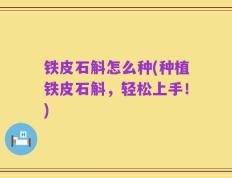 铁皮石斛怎么种(种植铁皮石斛，轻松上手！)