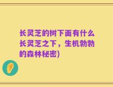 长灵芝的树下面有什么长灵芝之下，生机勃勃的森林秘密)