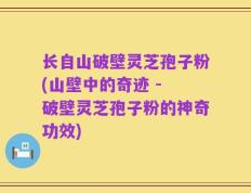 长自山破壁灵芝孢子粉(山壁中的奇迹 - 破壁灵芝孢子粉的神奇功效)