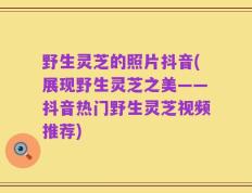 野生灵芝的照片抖音(展现野生灵芝之美——抖音热门野生灵芝视频推荐)