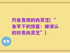 钓鱼发现的肉灵芝(“鱼竿下的惊喜：被误认的珍贵肉灵芝”)
