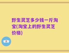 野生灵芝多少钱一斤淘宝(淘宝上的野生灵芝价格)
