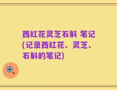 西红花灵芝石斛 笔记(记录西红花、灵芝、石斛的笔记)