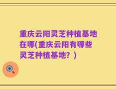 重庆云阳灵芝种植基地在哪(重庆云阳有哪些灵芝种植基地？)