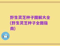 野生灵芝种子图解大全(野生灵芝种子全图指南)