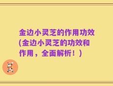 金边小灵芝的作用功效(金边小灵芝的功效和作用，全面解析！)
