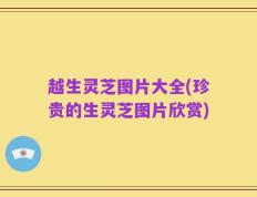 越生灵芝图片大全(珍贵的生灵芝图片欣赏)