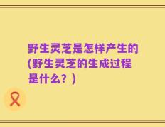 野生灵芝是怎样产生的(野生灵芝的生成过程是什么？)