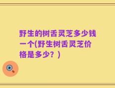 野生的树舌灵芝多少钱一个(野生树舌灵芝价格是多少？)