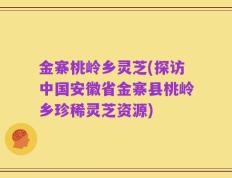 金寨桃岭乡灵芝(探访中国安徽省金寨县桃岭乡珍稀灵芝资源)
