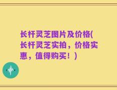 长杆灵芝图片及价格(长杆灵芝实拍，价格实惠，值得购买！)