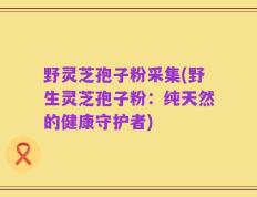 野灵芝孢子粉采集(野生灵芝孢子粉：纯天然的健康守护者)