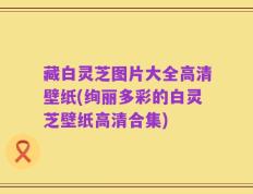 藏白灵芝图片大全高清壁纸(绚丽多彩的白灵芝壁纸高清合集)