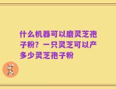 什么机器可以磨灵芝孢子粉？一只灵芝可以产多少灵芝孢子粉