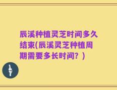 辰溪种植灵芝时间多久结束(辰溪灵芝种植周期需要多长时间？)