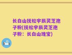 长白山抚松宇辰灵芝孢子粉(抚松宇辰灵芝孢子粉：长白山瑰宝)