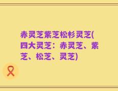 赤灵芝紫芝松杉灵芝(四大灵芝：赤灵芝、紫芝、松芝、灵芝)