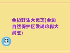 金边野生大灵芝(金边自然保护区发现珍稀大灵芝)