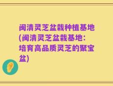 闽清灵芝盆栽种植基地(闽清灵芝盆栽基地：培育高品质灵芝的聚宝盆)