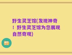 野生灵芝馆(发现神奇！野生灵芝馆为您展现自然奇观)