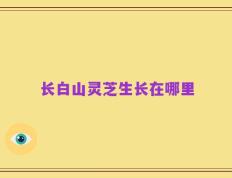 长白山灵芝生长在哪里