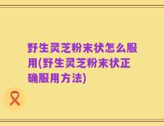 野生灵芝粉末状怎么服用(野生灵芝粉末状正确服用方法)