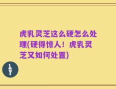 虎乳灵芝这么硬怎么处理(硬得惊人！虎乳灵芝又如何处置)