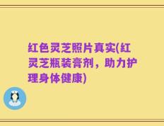 红色灵芝照片真实(红灵芝瓶装膏剂，助力护理身体健康)