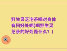 野生灵芝泡茶喝对身体有何好处呢(喝野生灵芝茶的好处是什么？)