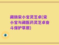 藏族宋小宝灵芝卓(宋小宝与藏医药灵芝卓奋斗保护草原)