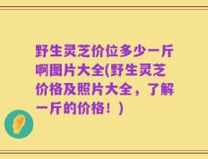 野生灵芝价位多少一斤啊图片大全(野生灵芝价格及照片大全，了解一斤的价格！)
