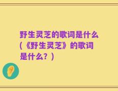 野生灵芝的歌词是什么(《野生灵芝》的歌词是什么？)